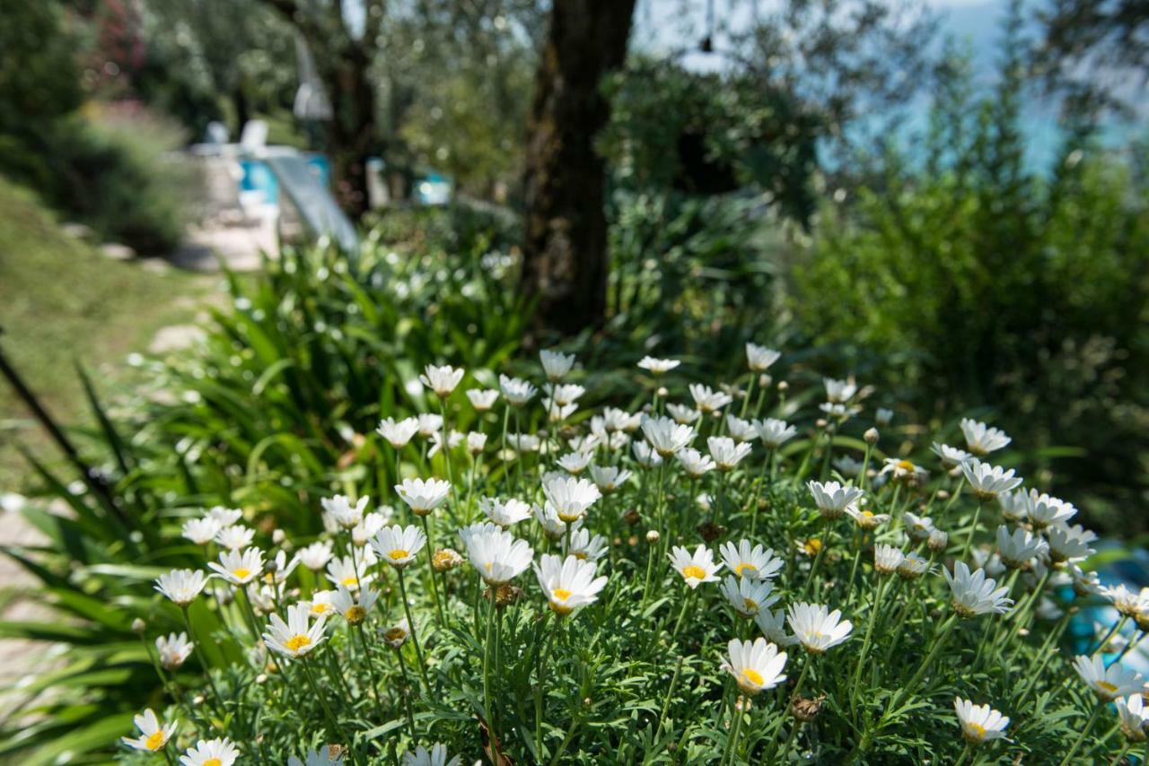 Villa Malcesine Zewnętrze zdjęcie